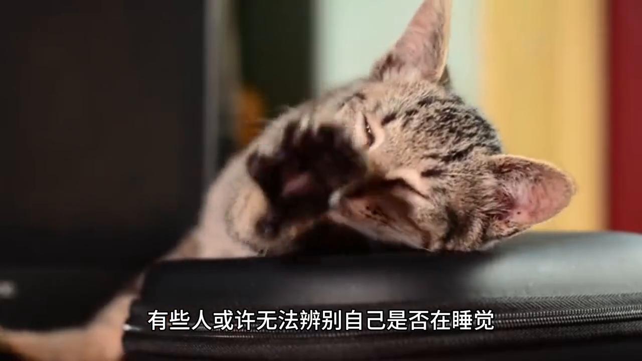 一分为二的灵魂,灵魂一分为二