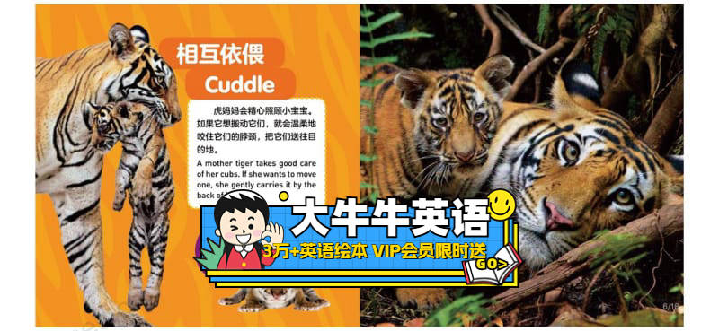 Tigers3~6岁英语启蒙绘本