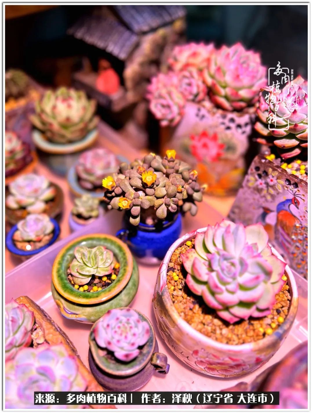 四季轮回之秋天,四季轮回之冬季