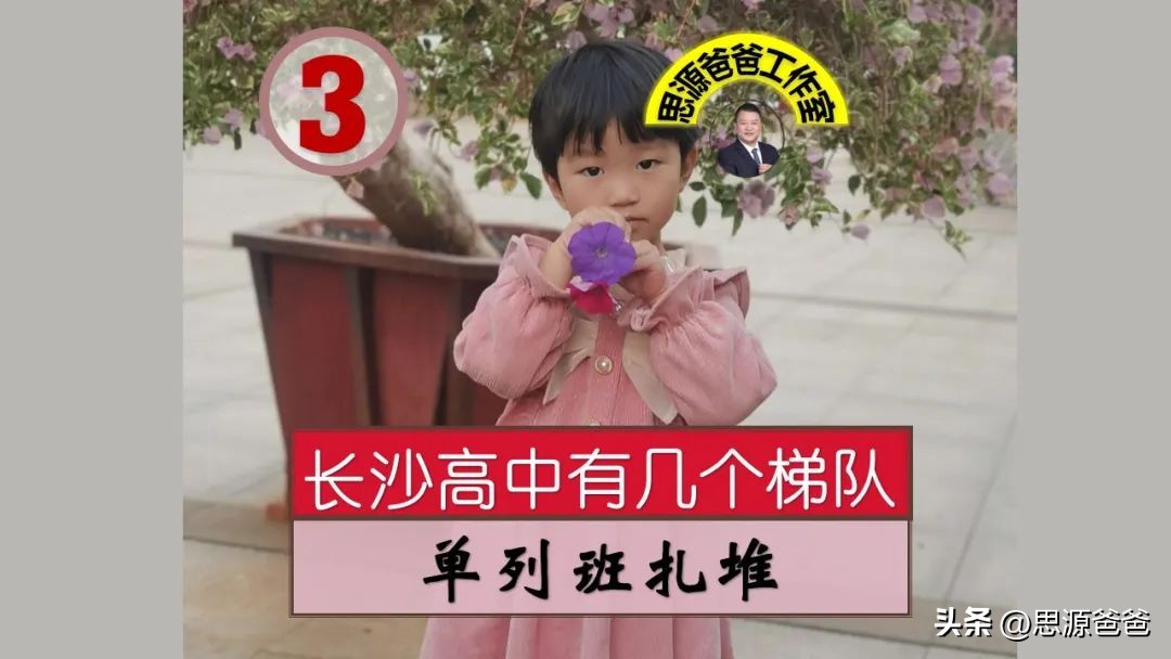 长沙高中四大名校分区吗,长沙高中四小五小指哪些学校