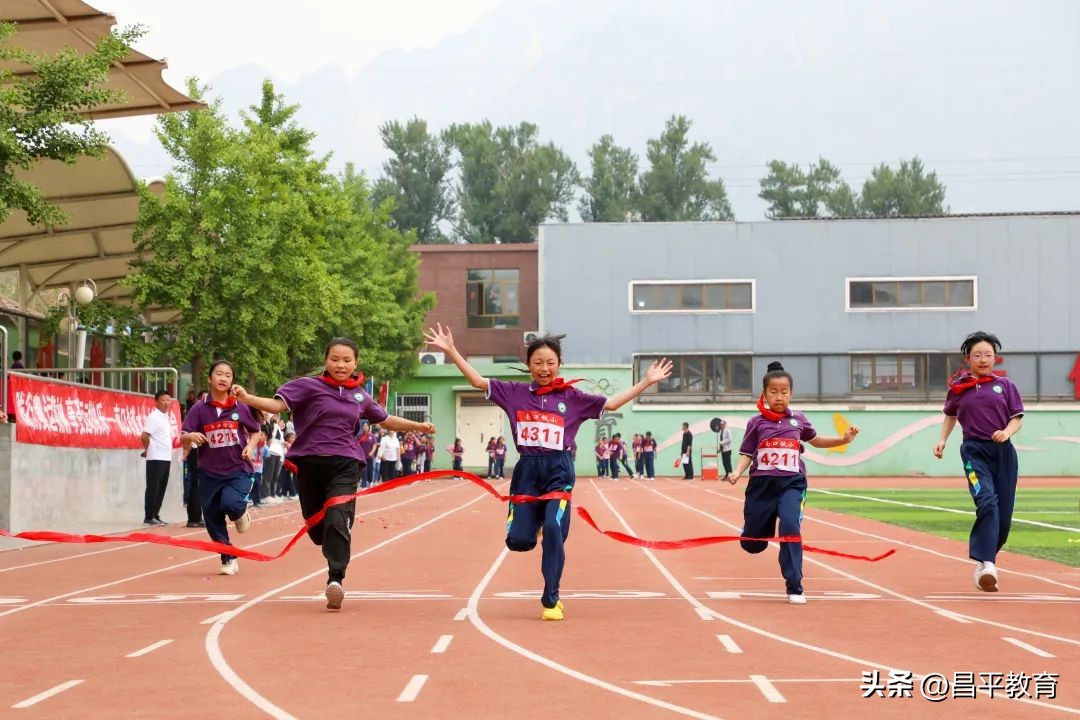 校园竞技体育的魅力,校园青春比赛