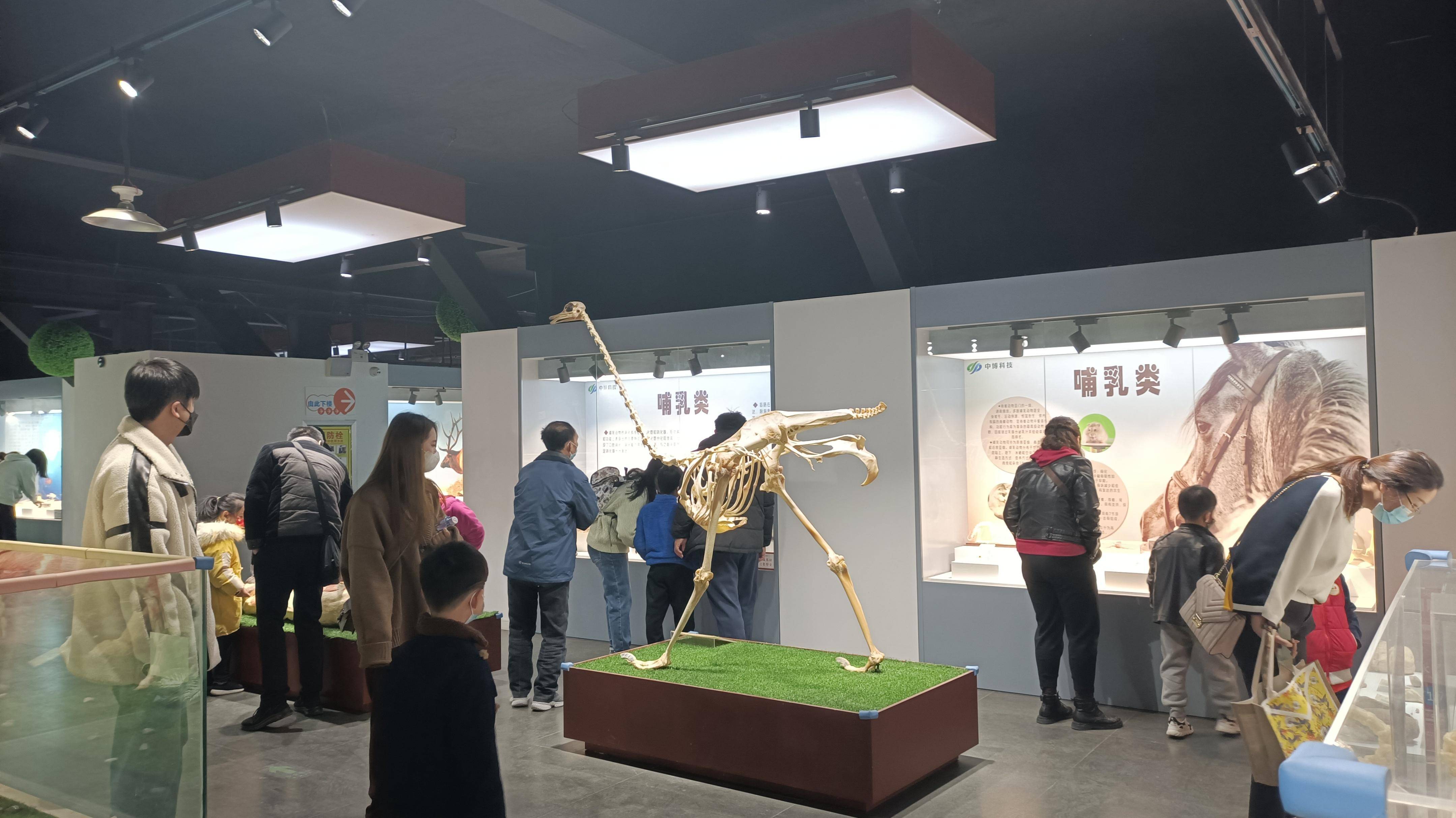 郑州九区遛娃游玩排行榜前十名,郑州遛娃打卡地点推荐