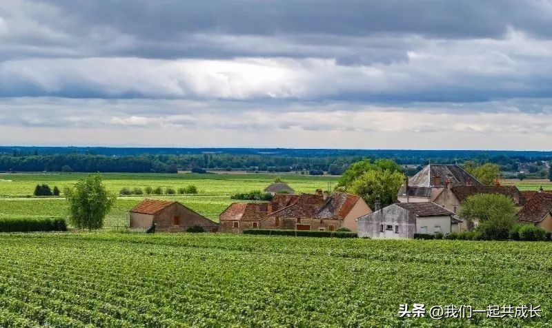 美国红酒爱慕酒庄,美国爱慕酒庄伊索赤霞珠红葡萄酒