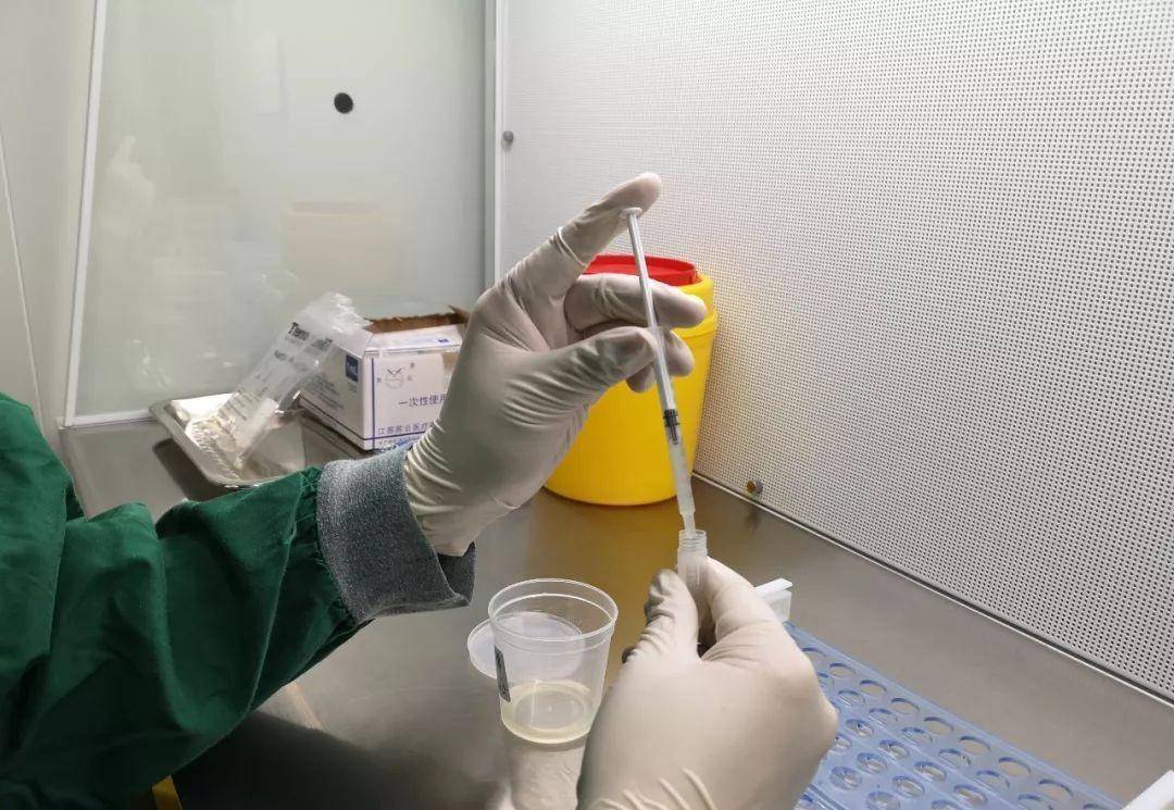 进入女性体内后，没“受精”成功的精子到哪儿去了？既好笑又心疼