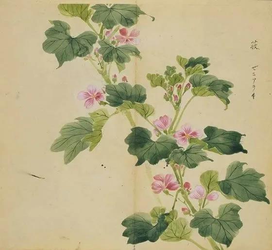 陈风月诗经原文,诗经陈风月出全文注音