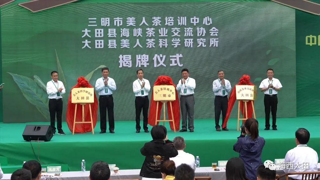 上海浦东大田美人茶迎来开茶季,海峡两岸美人茶大会福建大田举行