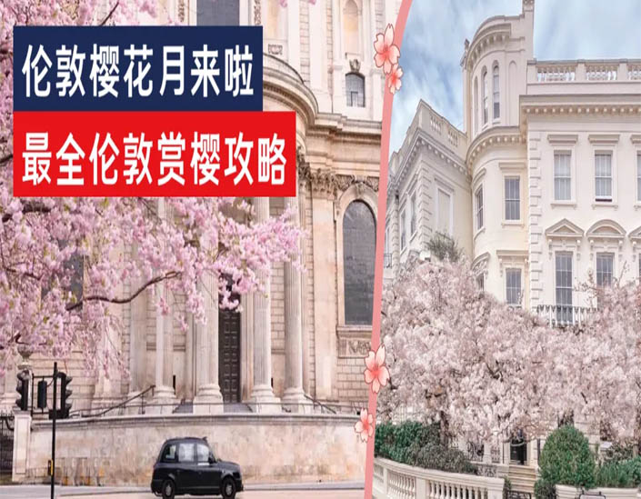 伦敦3月樱花,伦敦樱花季