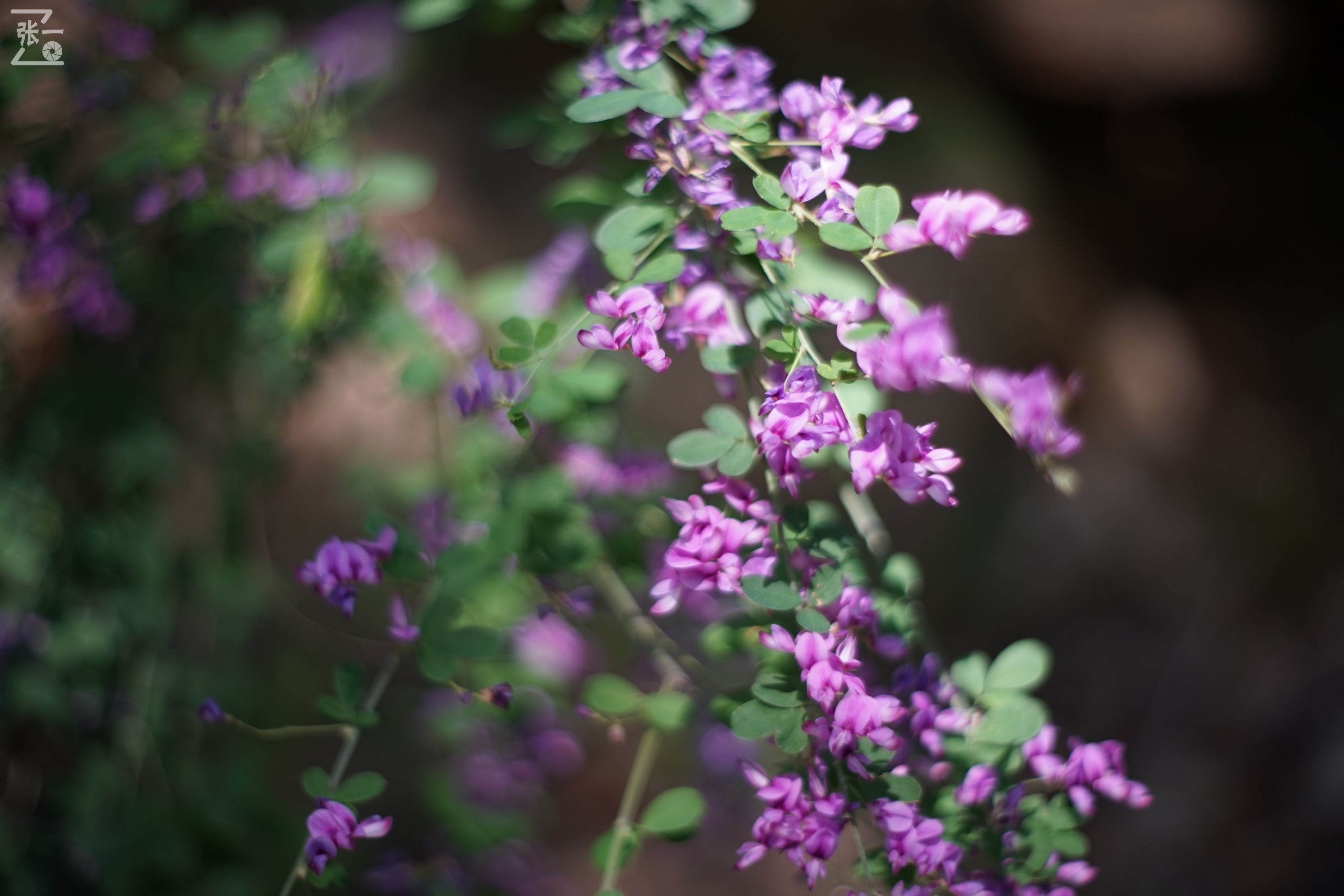 老镜头实拍,老镜头拍北京