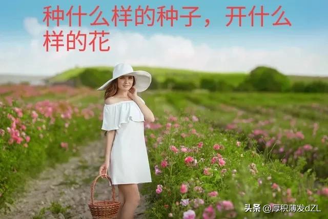 种什么样的种子开什么样的花！有什么样的投资认知就有什么的结果