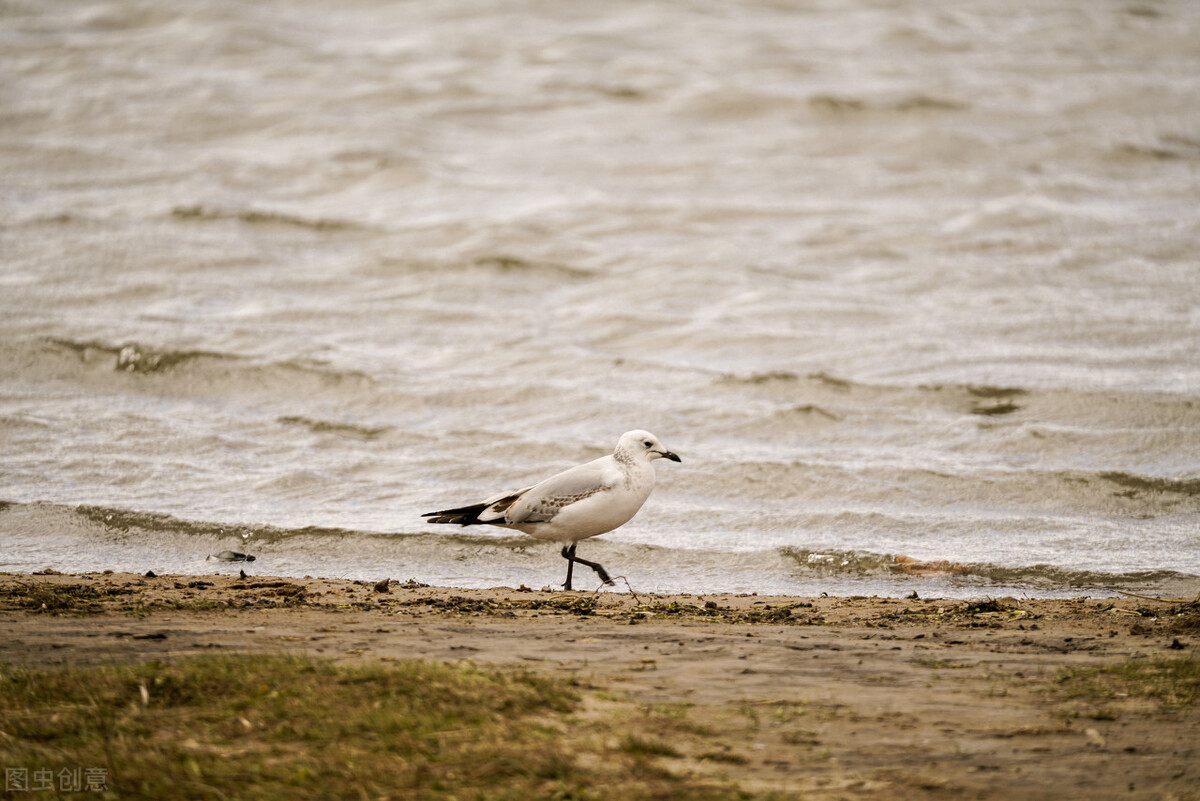 张家口沽源县著名地方,沽源县自然风景