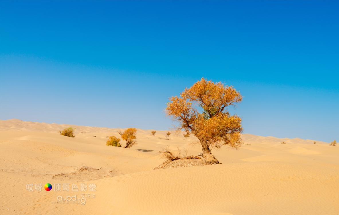 女司机带娃去新疆自驾游,带着女司机自驾游兰州