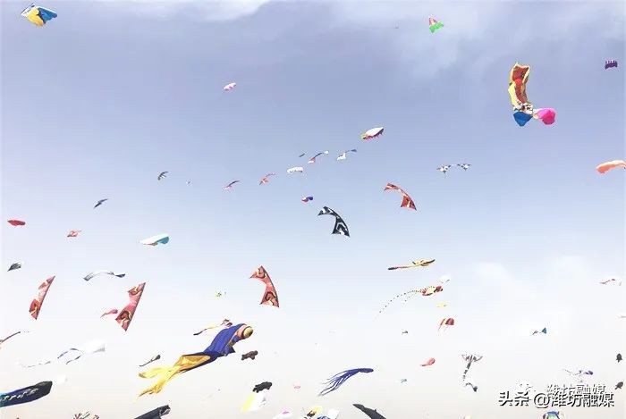 开幕照片视频,最新开幕式片段