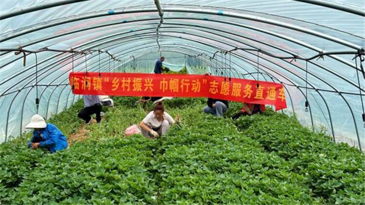 山东平邑地方镇的果树种植,平邑耕地上种果树