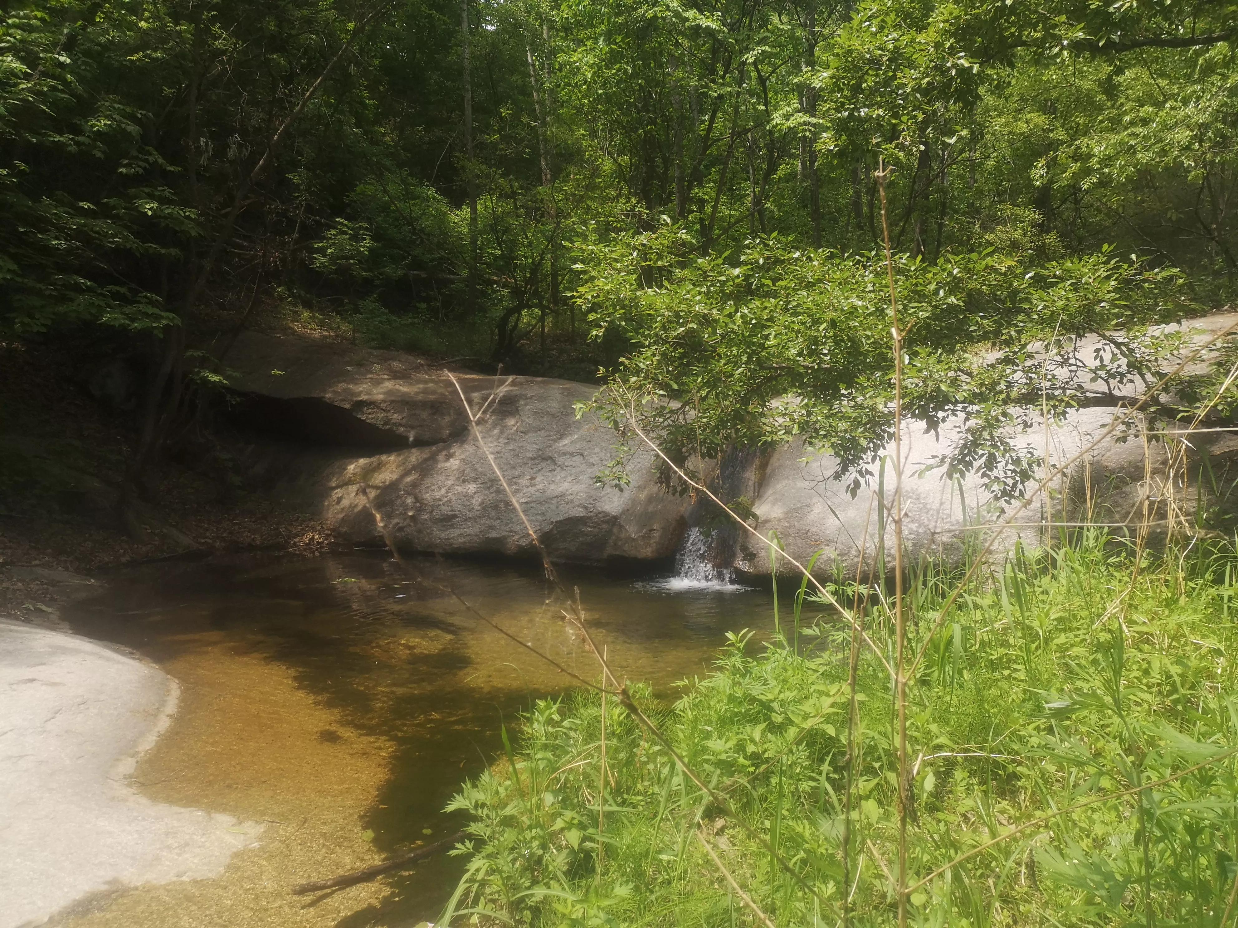 阿凡达中虚幻又真实的场景,阿凡达仙境片段