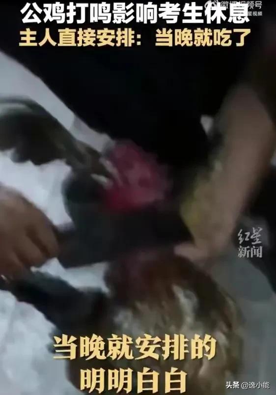 高考出现问题给谁打电话投诉,高考期间太吵举报电话