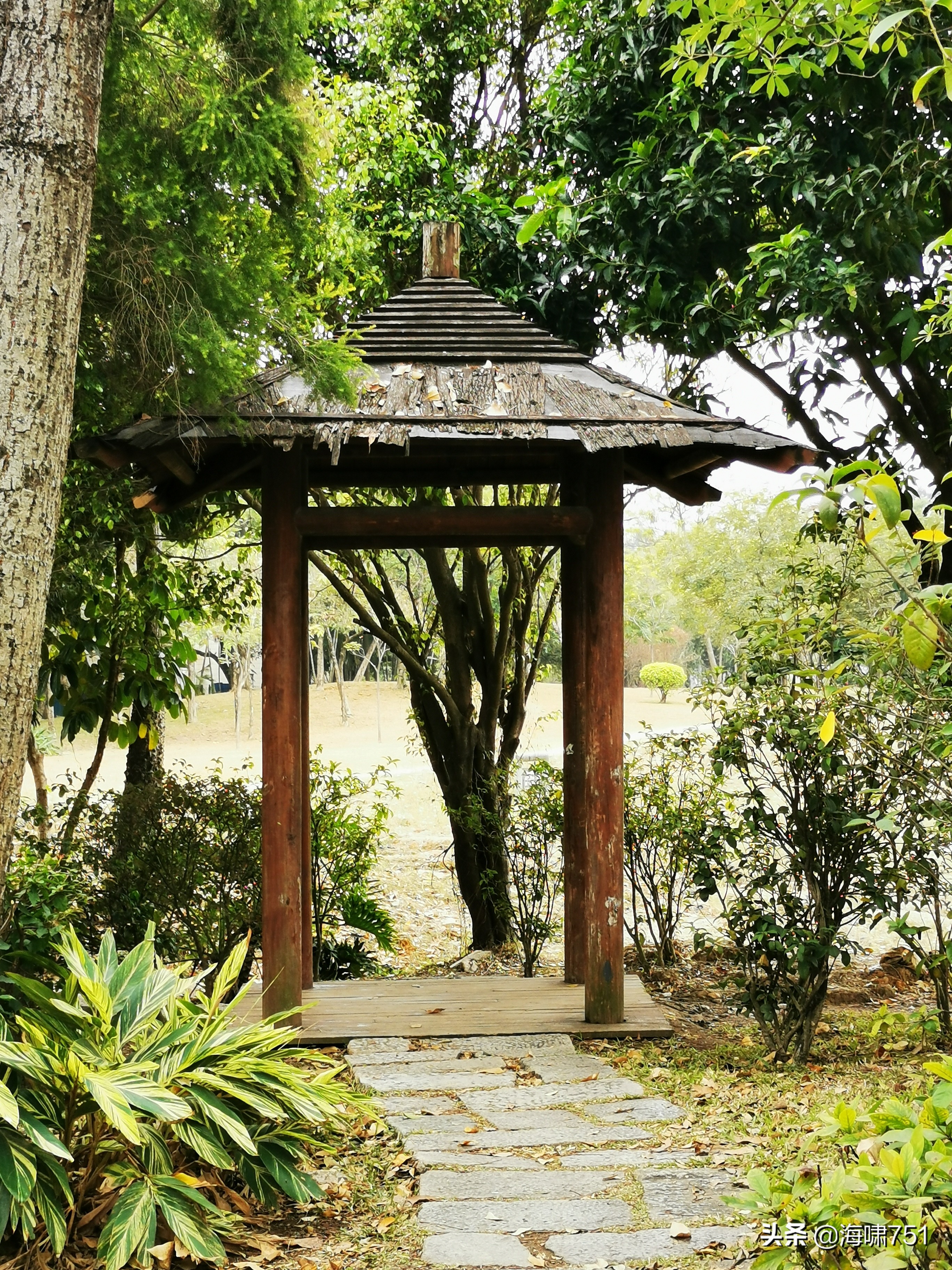 陈田花园全景图,陈田花园照片