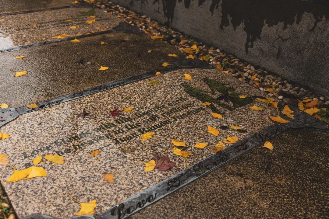 入住城堡酒店,入住太湖瑞峰酒店