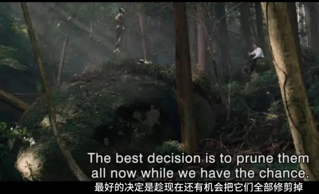 新奥特曼全面解析,新奥特曼预告解析