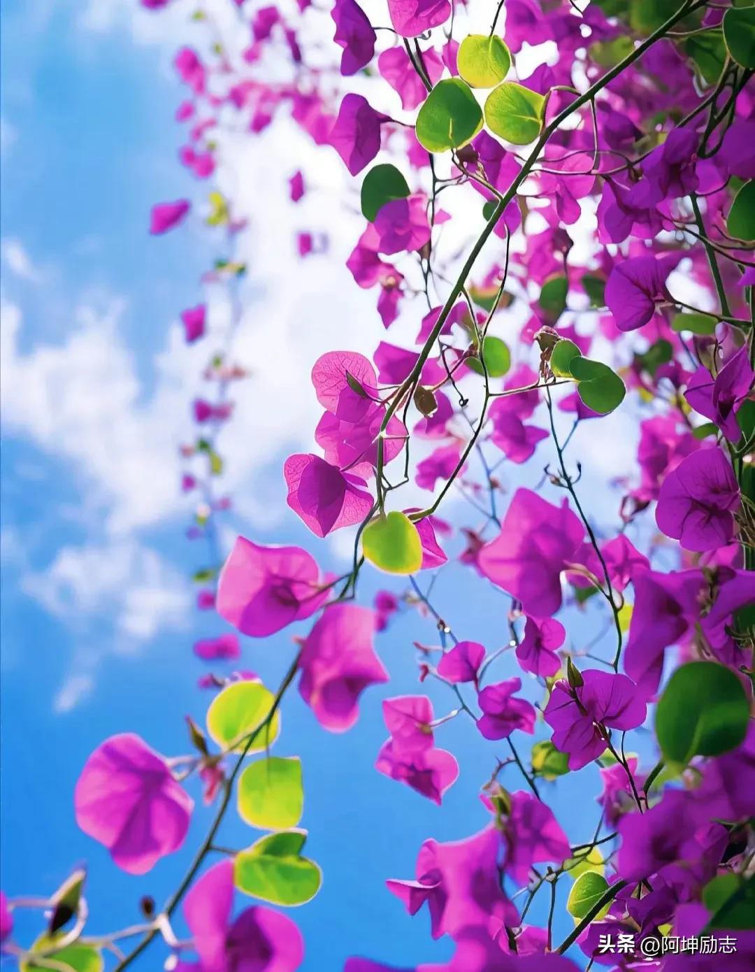 如何治愈心理受过的伤,如何治愈背叛出轨带来的心灵创伤