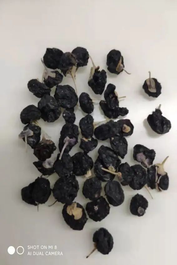 枸杞子有哪些药性和功效,现代医学表明枸杞子的主要功效