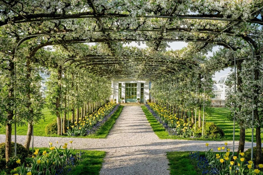 她是顶级豪门家族的千亿儿媳，一生低调，却连总统夫人都羡慕不已