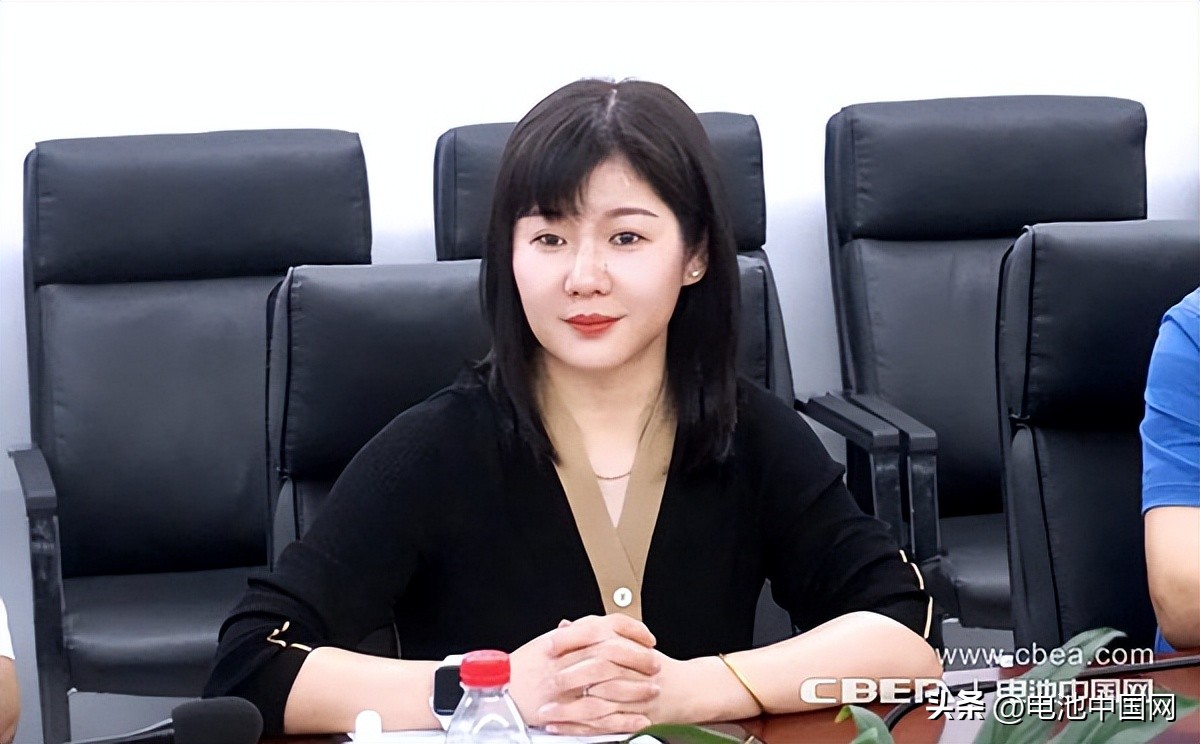 当升科技2023年一季业绩预测分析,当升科技2024一季度业绩公布