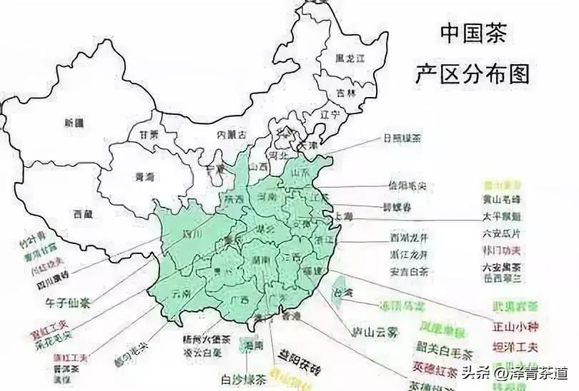 茶树为什么多生“南”而不生“北”？