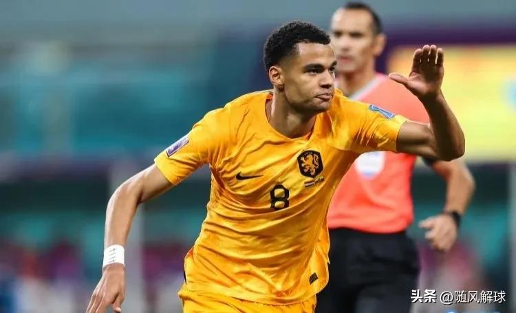 世界杯荷兰对美国谁赢了,最新世界杯美国对荷兰