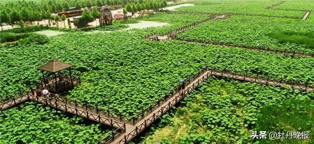 菏泽一日游最佳景点一览表,菏泽最值得一游的景点