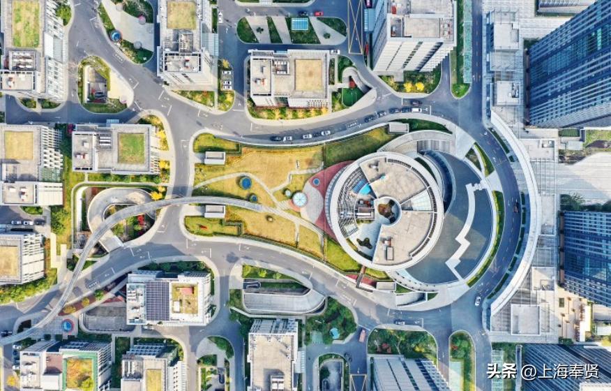 金海街道：大美金海，打造逐梦未来的世界级城市会客厅