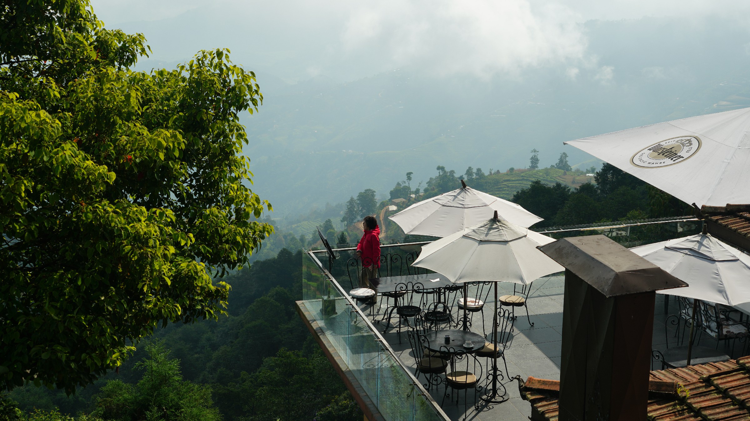 云中鹤游学,云中鹤户外