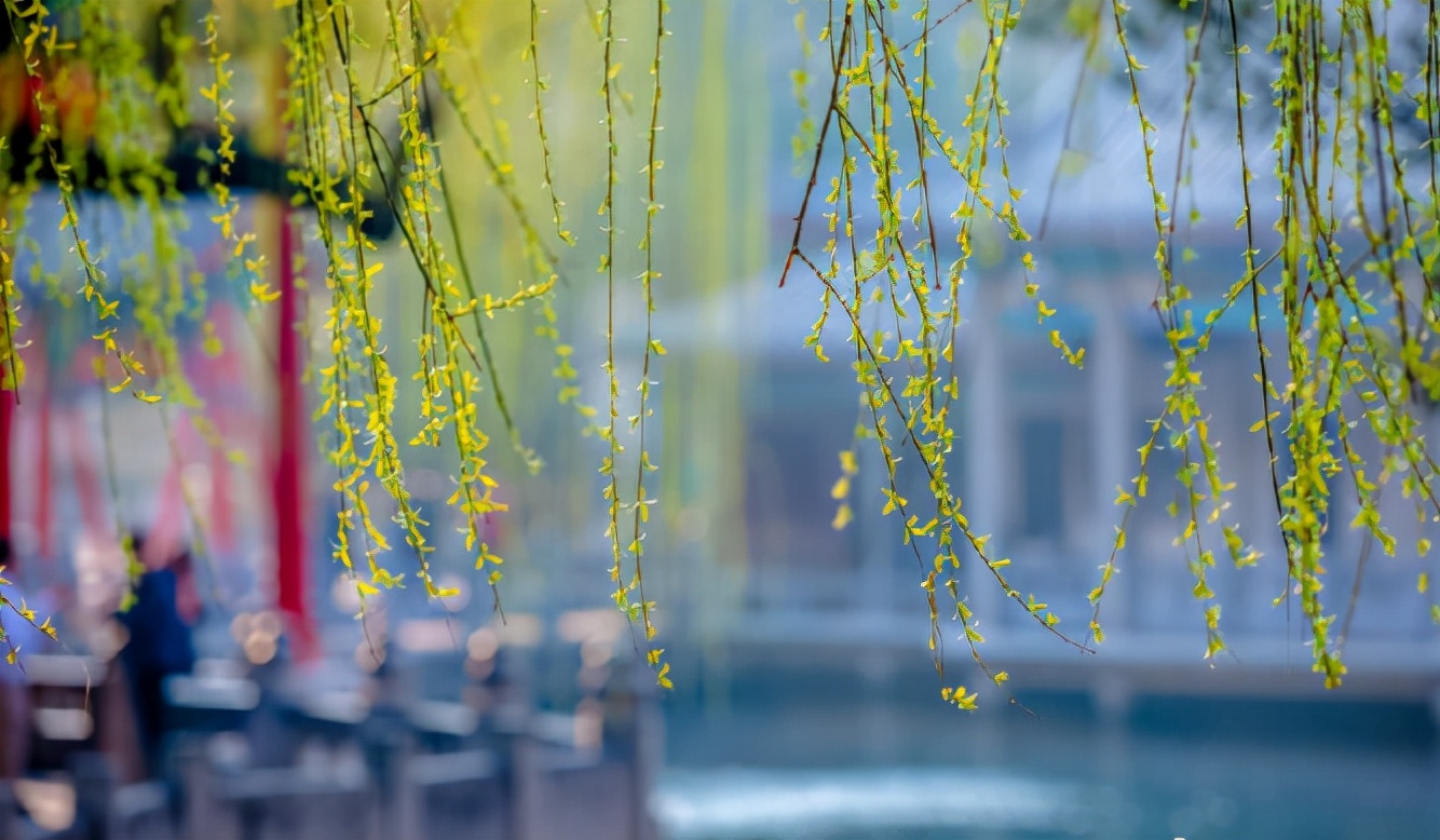 济南的深秋时节的诗情画意,春天的济南是个美丽的地方