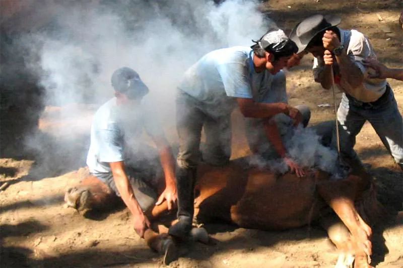 LengaDesign丨企业品牌到底是什么？