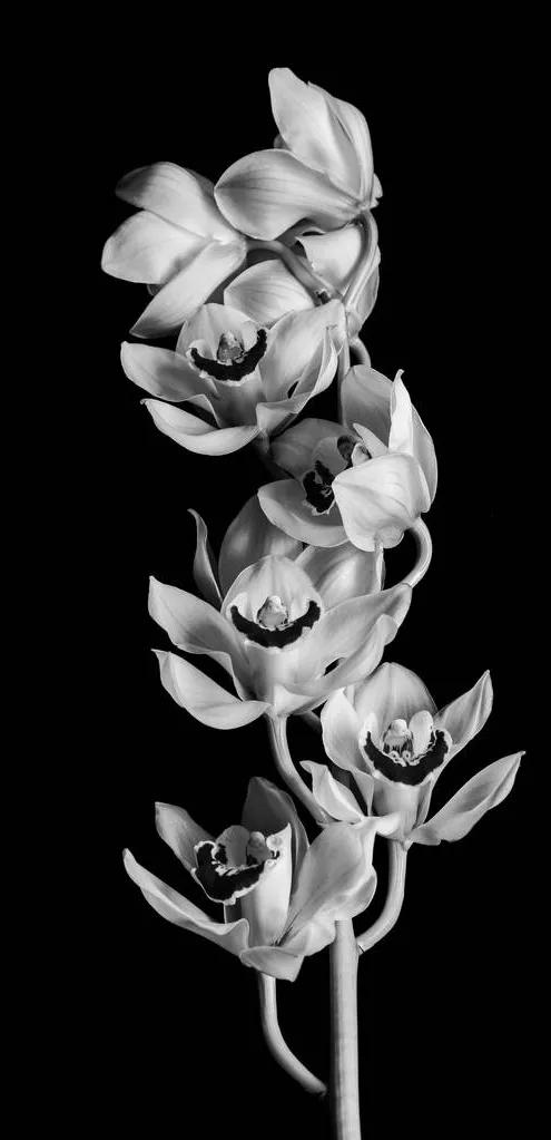 黑暗系的壁纸文字,黑暗色系的壁纸