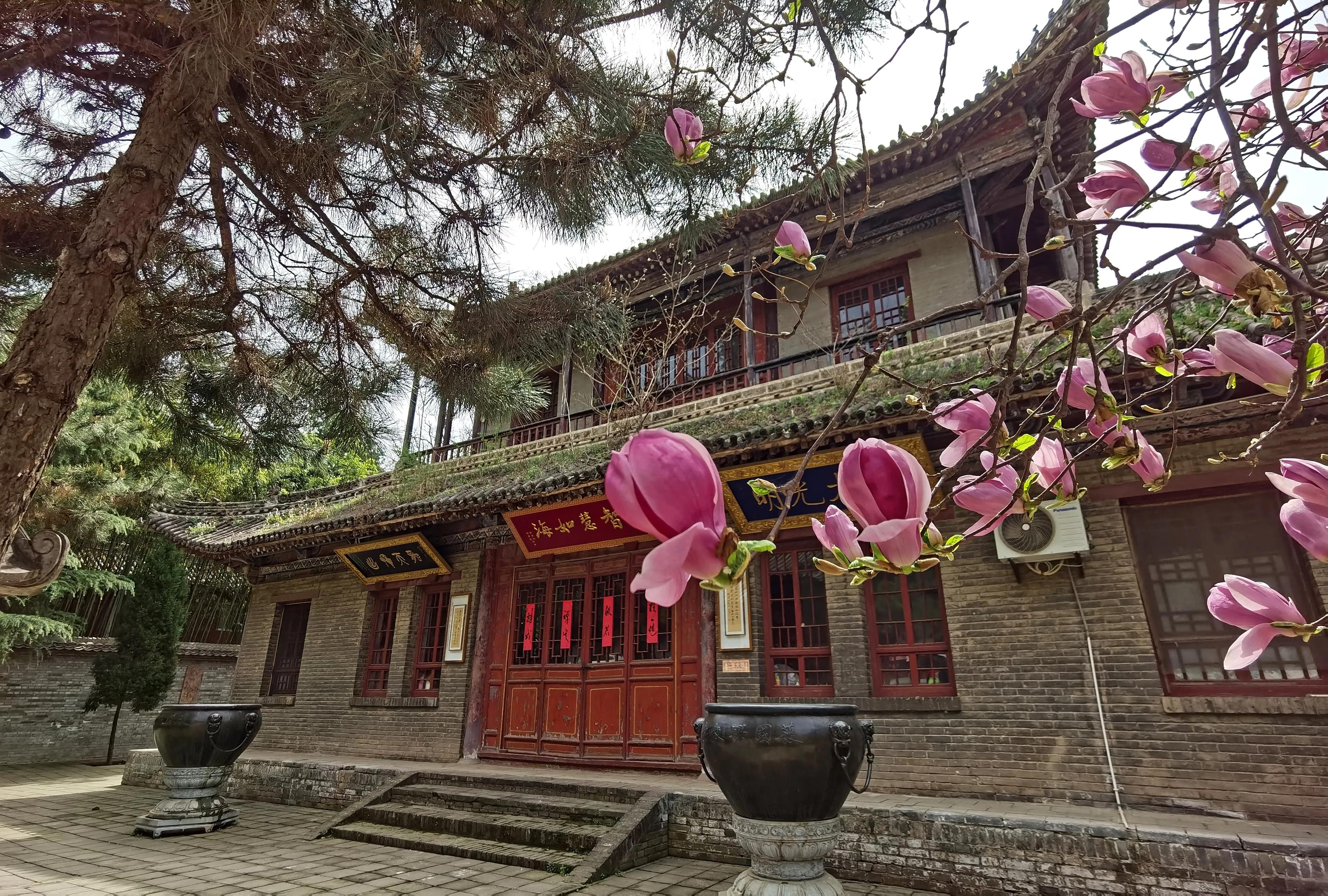 西安大兴善寺免费景点,西安市的世界文化遗产