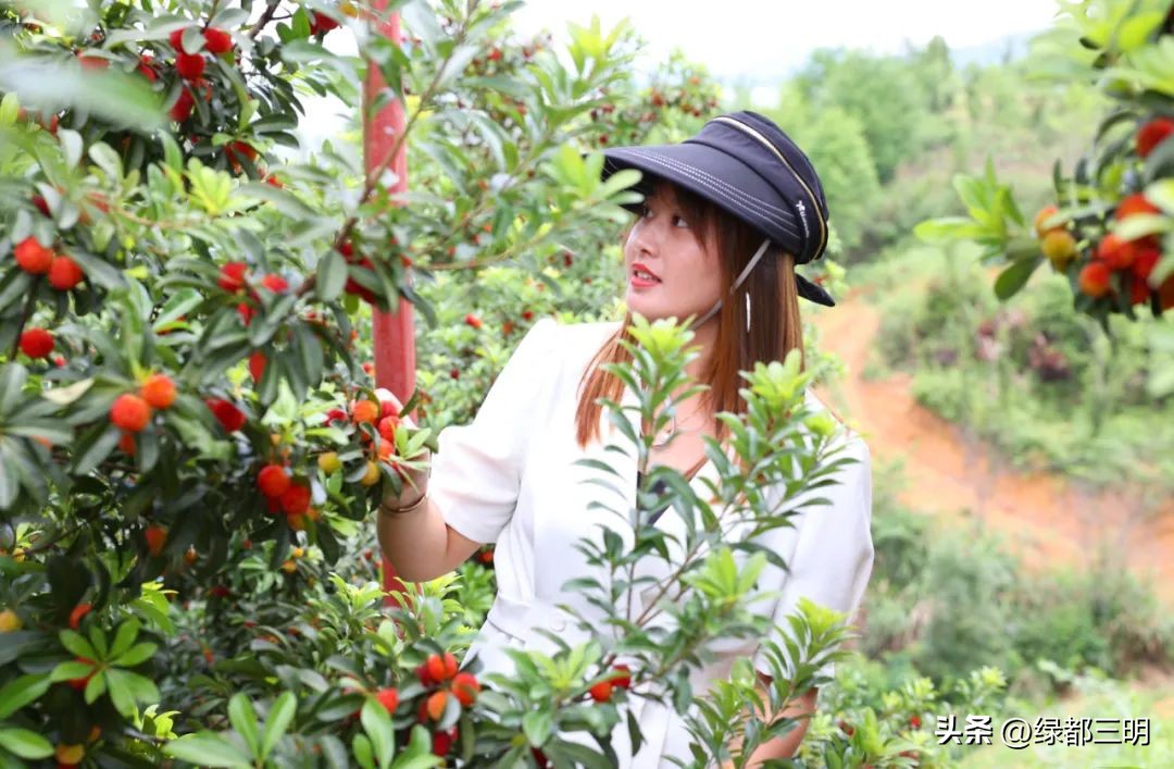缤纷水果季即将开始！来建宁释放夏日多巴胺