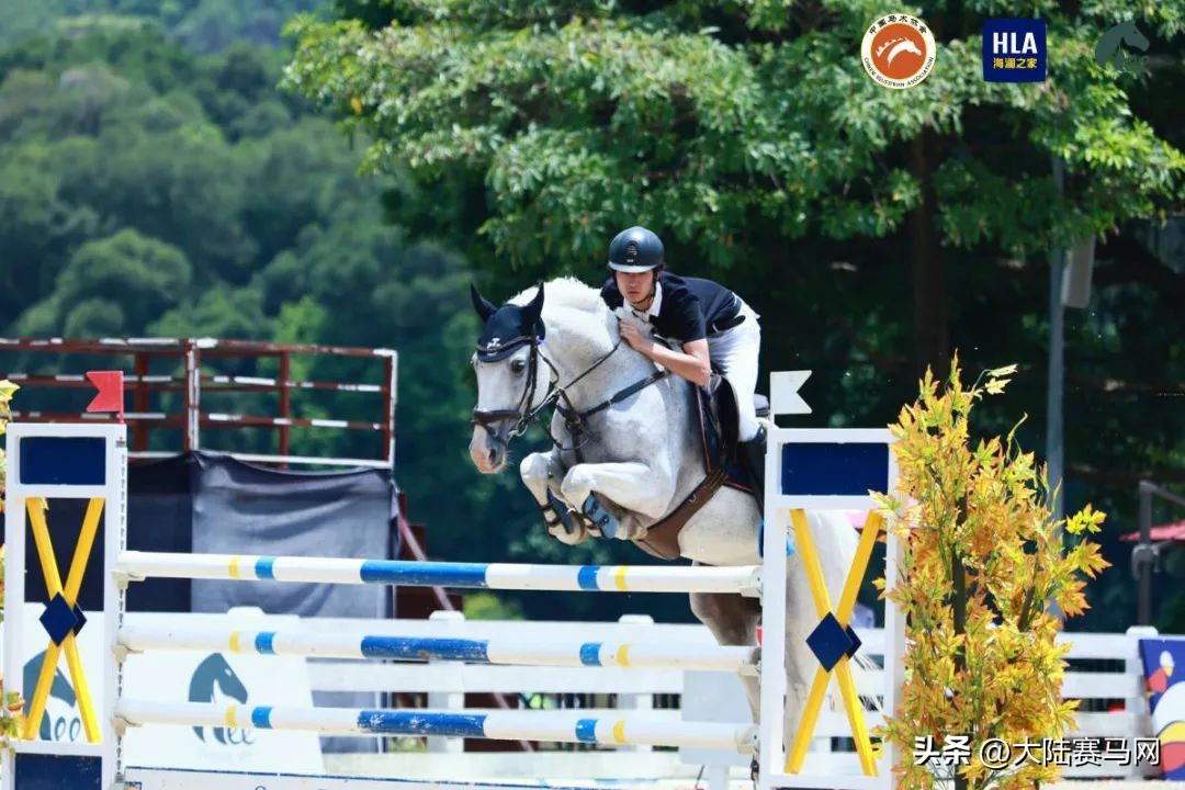 沈阳东骏青奥马术俱乐部有限公司,沈阳东骏青奥马术