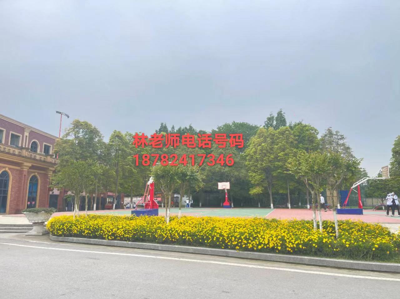 初三成绩不好该考高中怎么办,初中怎样走体育特长生途径