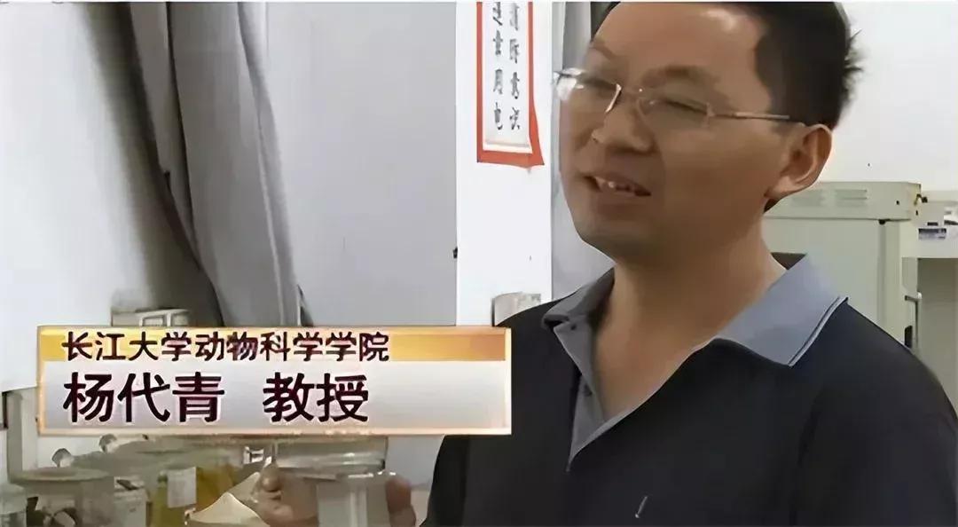 男子20万买一条半死不活的鱼,小伙花800元买一条蓝色大鱼