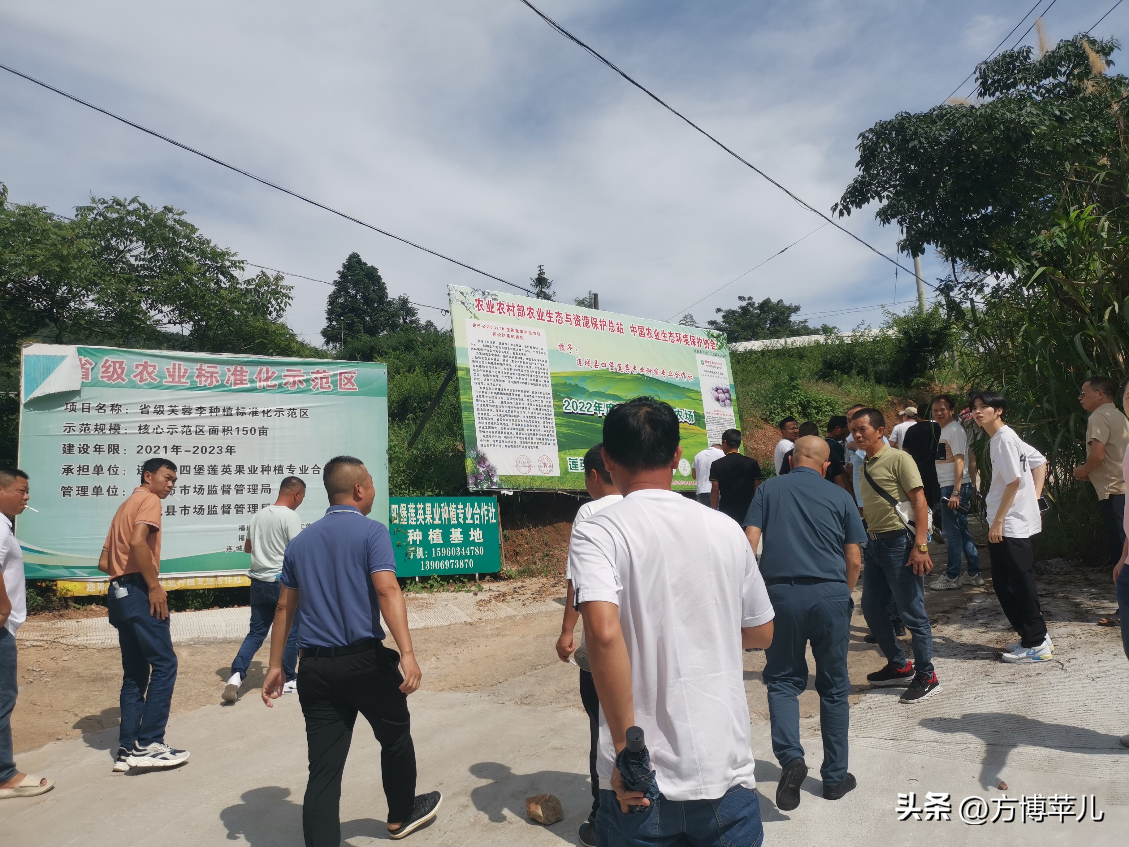 70后乡村振兴新农人,新农人2024年乡村振兴