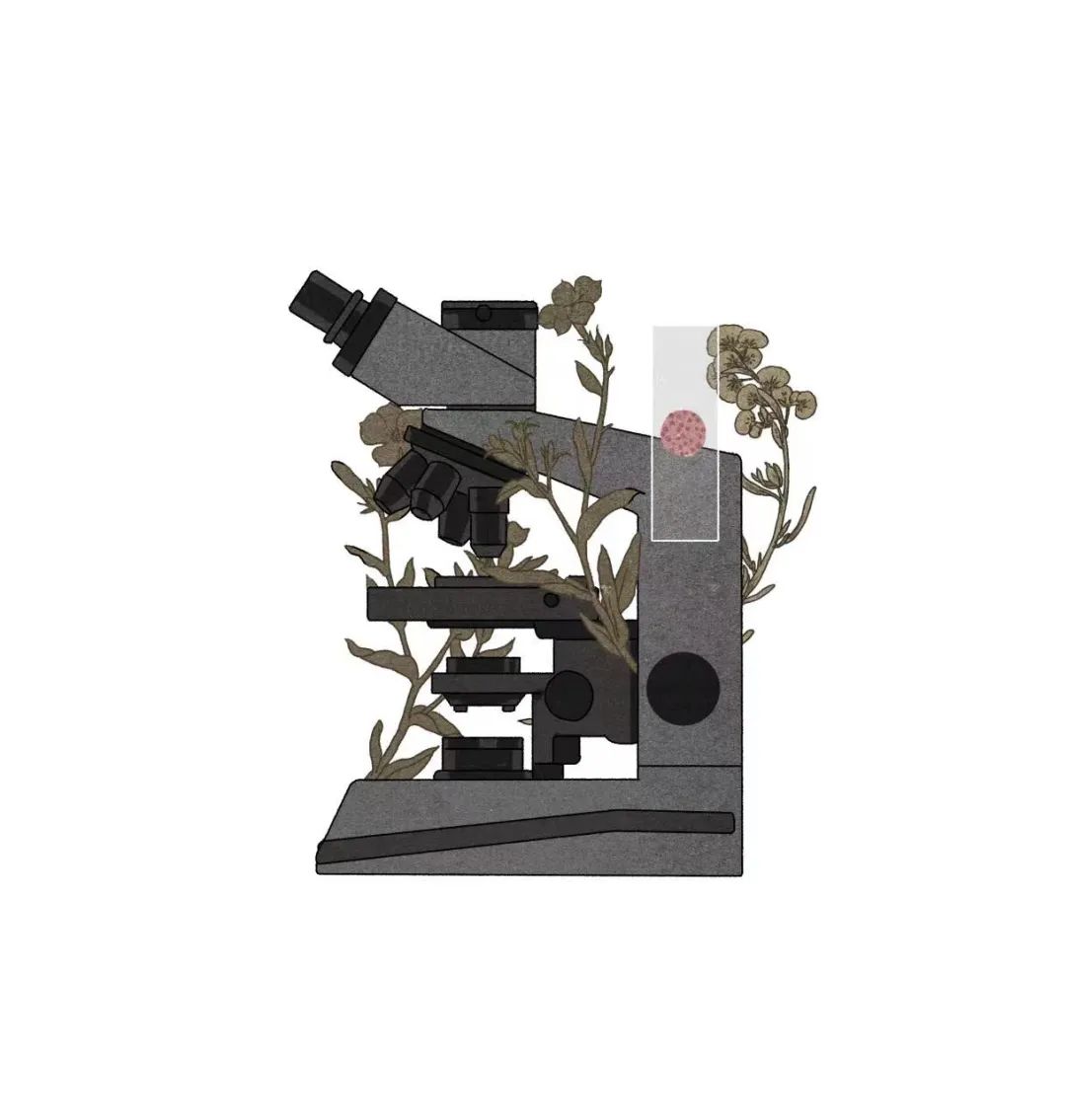 冷冻卵巢的女性:身上长出老年斑提前进入更年期,白血病治愈后移植回人体找回女性尊严