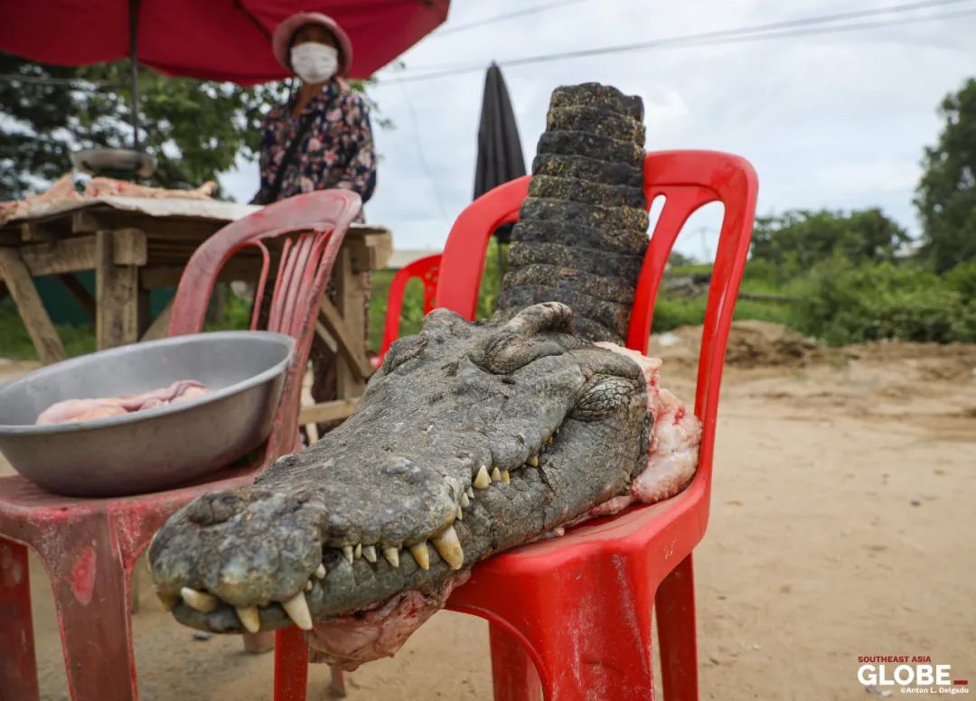 柬埔寨卖肉,柬埔寨路边摊