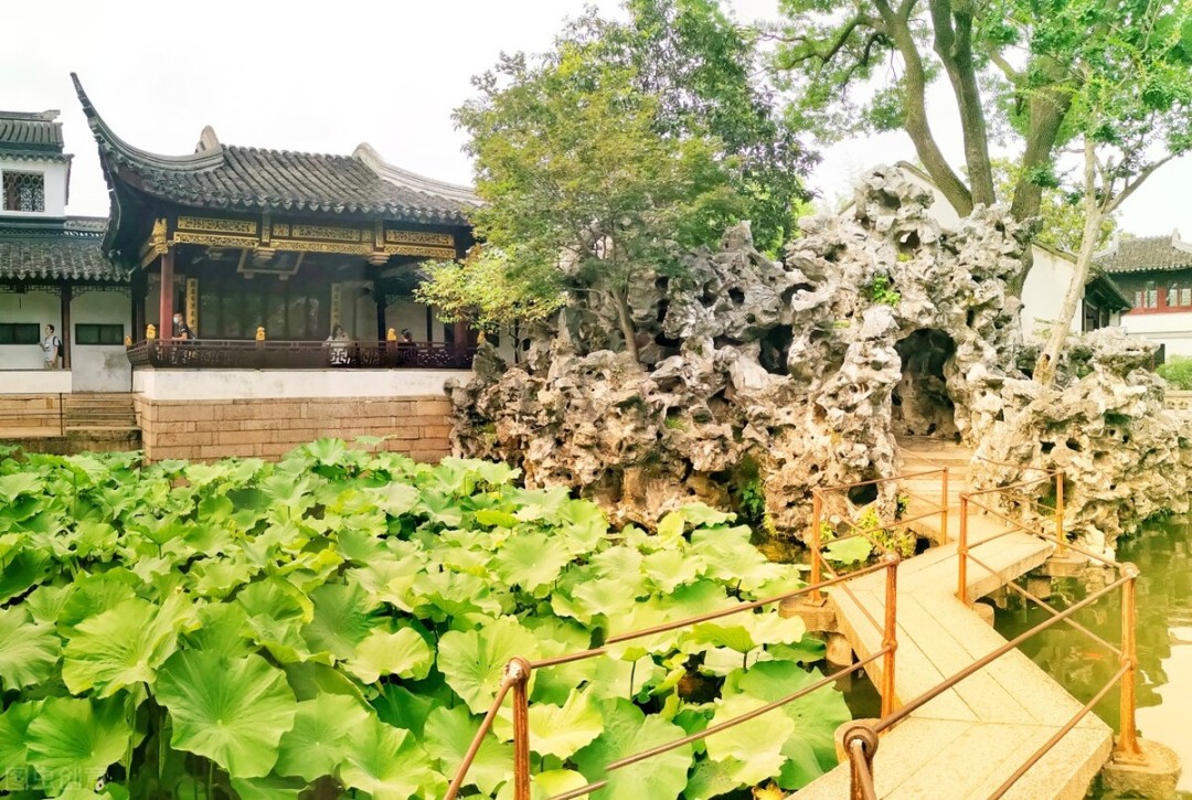 狮子林最有名的叠石假山,狮子林为什么叫假山王国