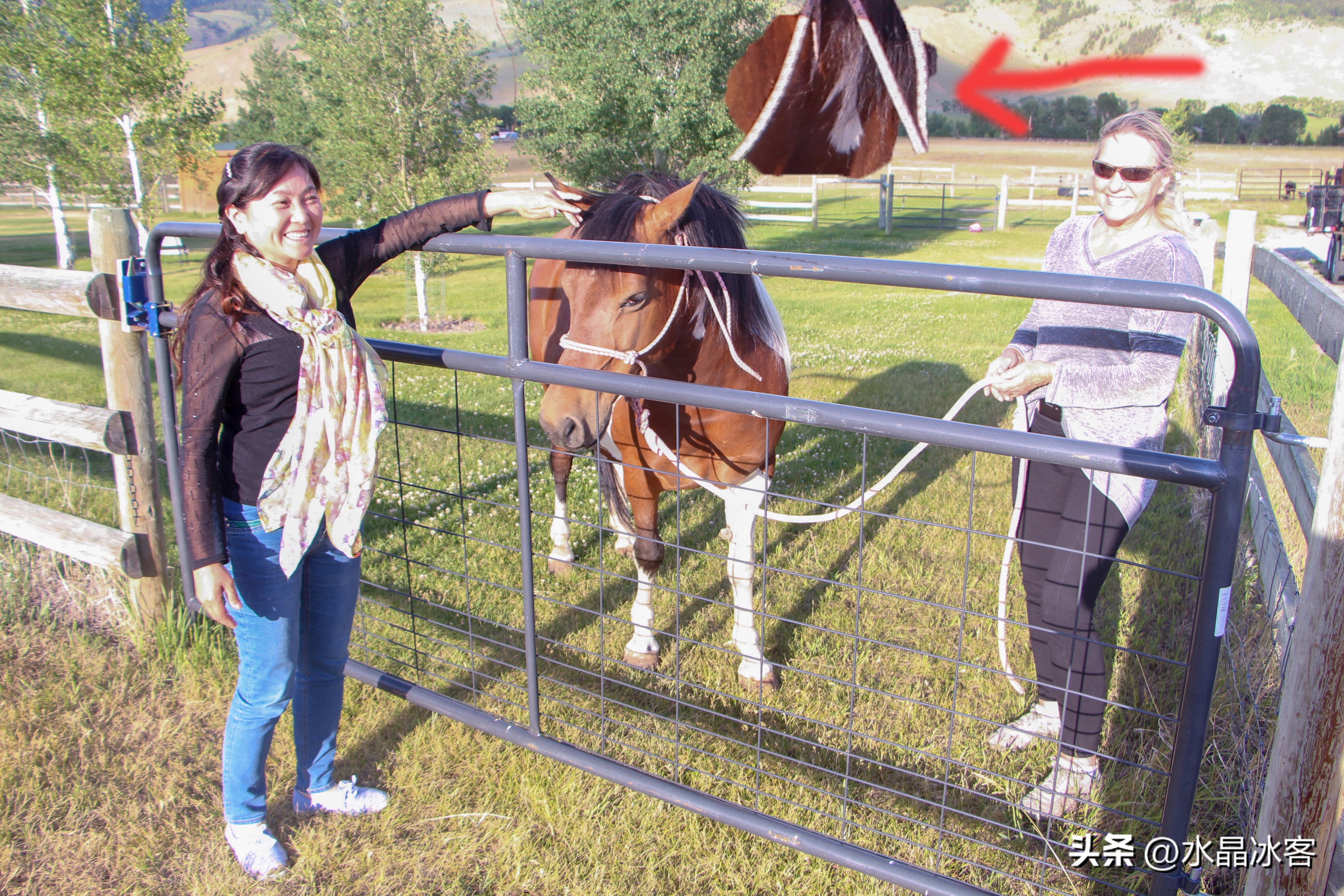 美国西部四日游最佳路线,黄石国家公园拉斯维加斯