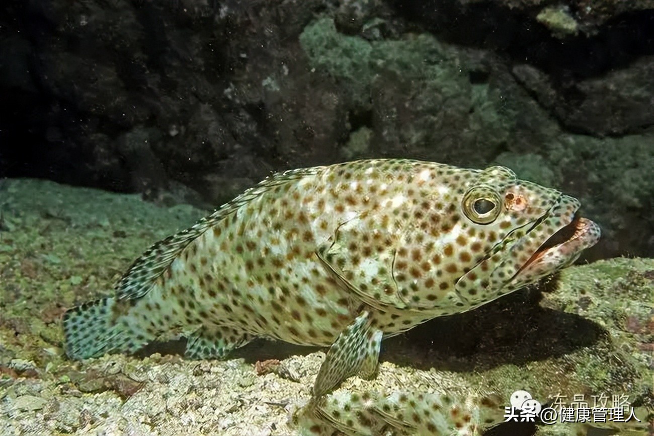 美容护肤食疗方案,美容护肤养生介绍