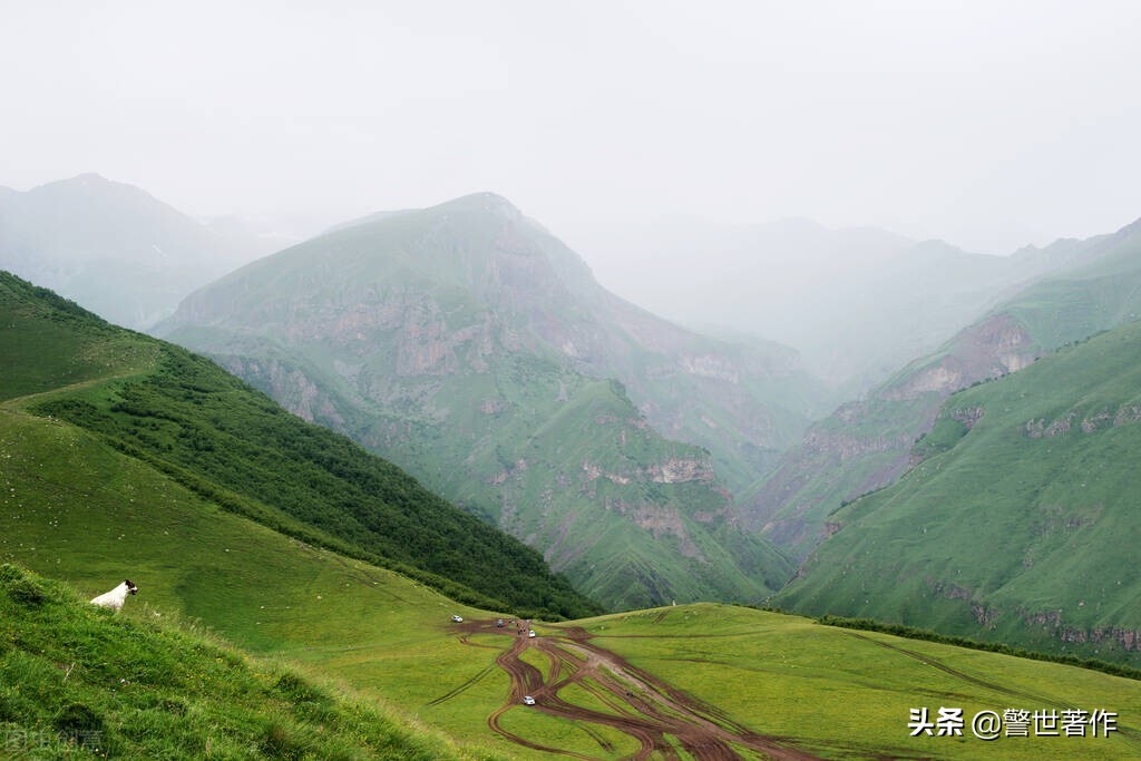 七律咏蜜蜂采花,七律打油诗50首