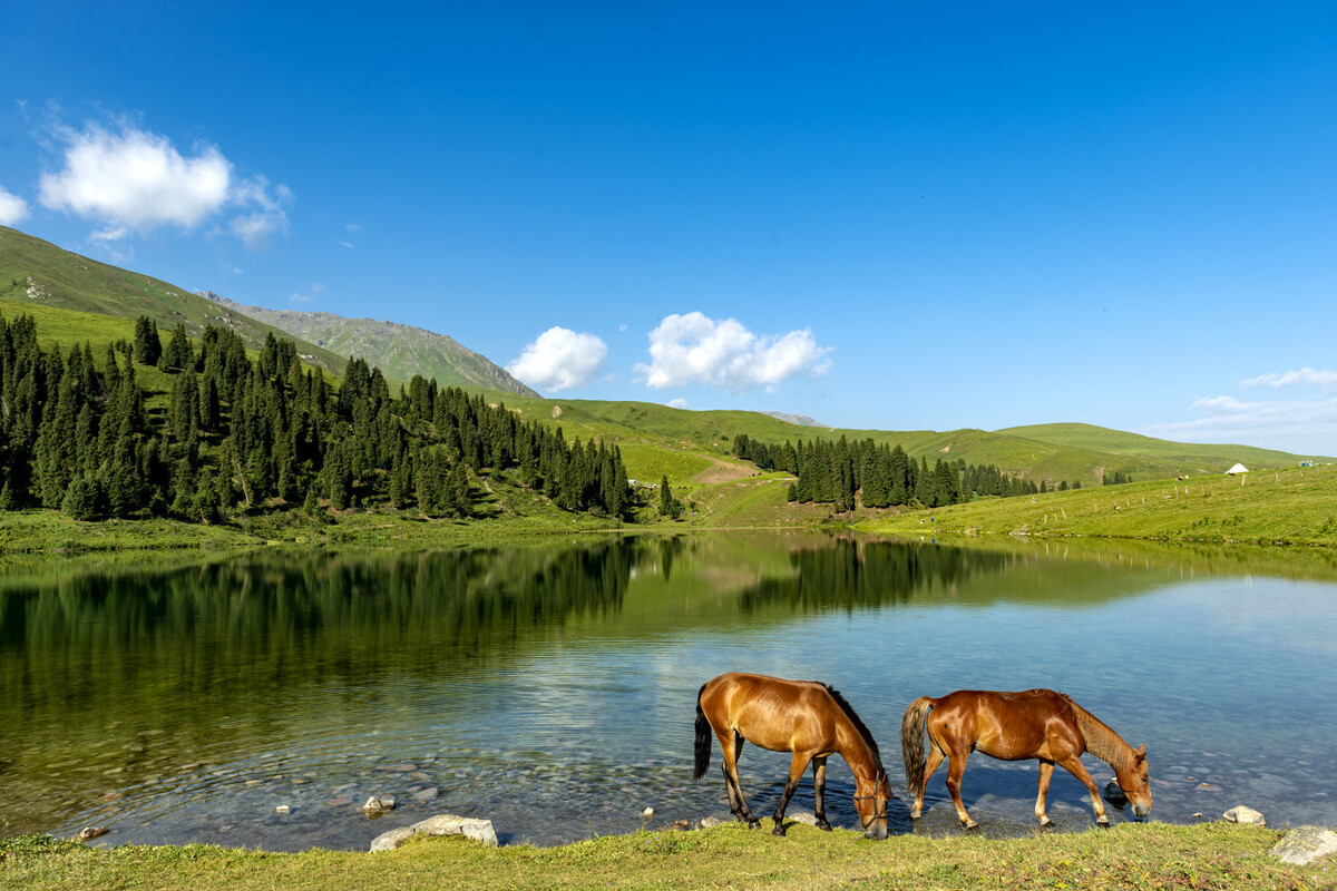 夏天自驾游最凉快的地方,旅游十大必去的地方中国夏天