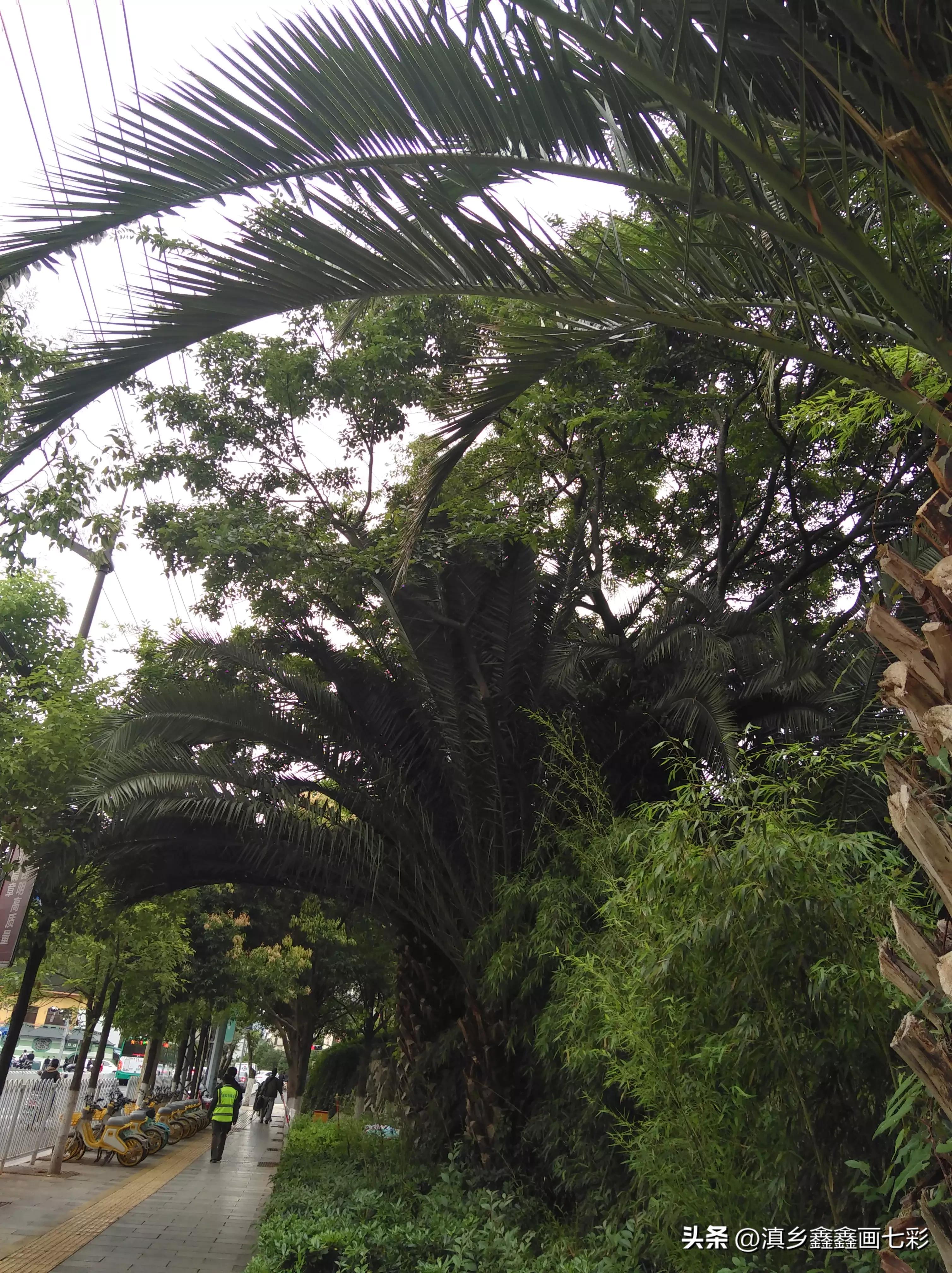 云南旅游地图高清版大图景点,云南旅游攻略自驾游景点推荐