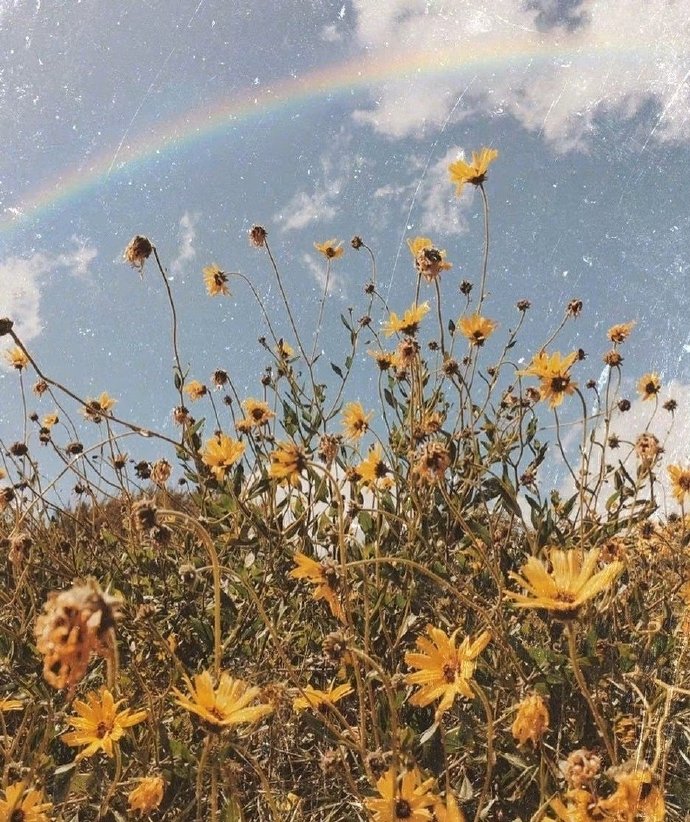 这样回你微信的人真的不在意你,这样回复你微信的人就是瞧不起你