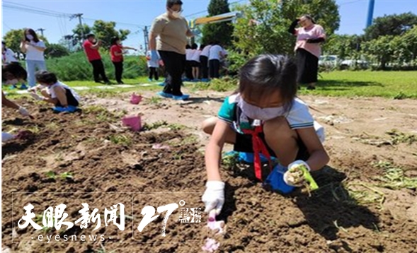 从农家乐到精品民宿,从农家乐到乡村旅游综合体